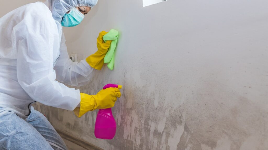 The Ultimate Guide To Cleaning And Removing Mold Glasshous